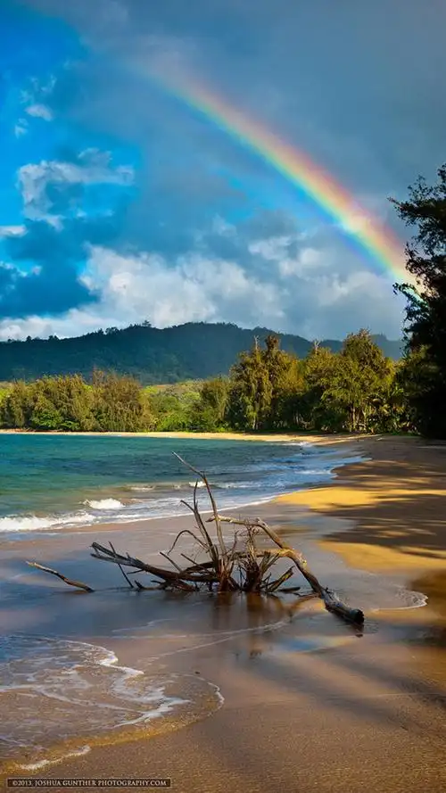 微博壁纸集-风景静物系列手机壁纸★【新浪微博:高清无水印iphon让