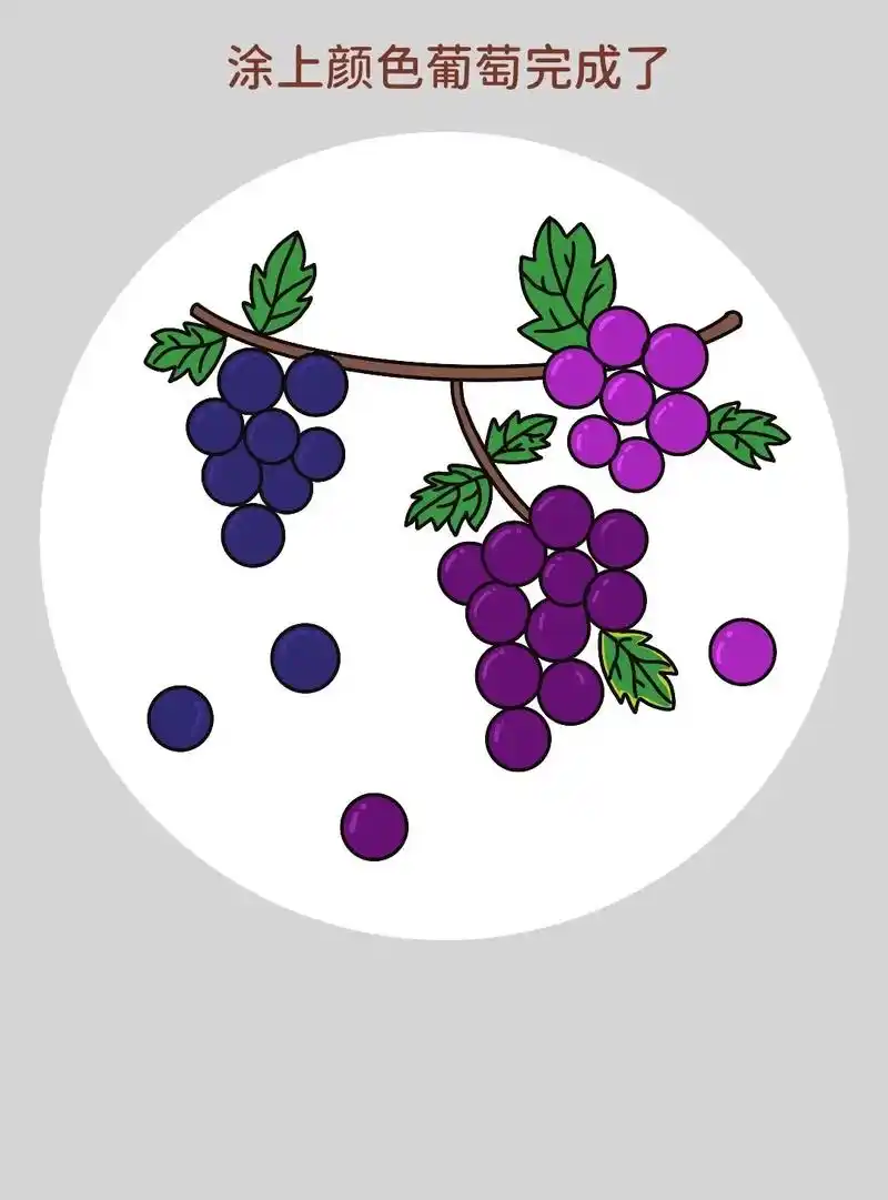 简单的儿童水果简笔画教程来啦!