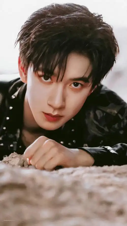 贺峻霖时代少年团