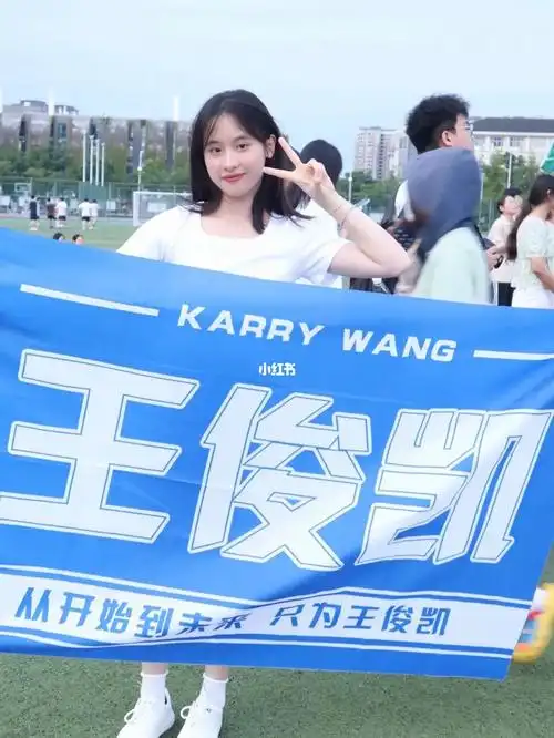 王俊凯  从开始到未来 只为王俊凯我为王俊凯举大旗