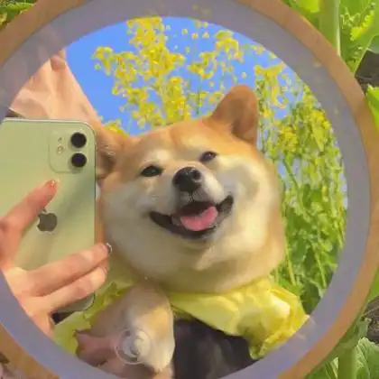 女生狗狗自拍头像