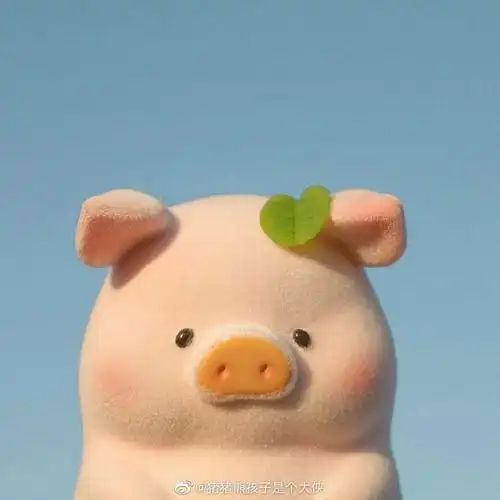 关于猪的头像有哪些