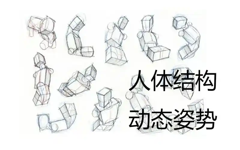 板绘小白联盟人体结构不会画超详细人体动作画法教程来了艺森合尚教育