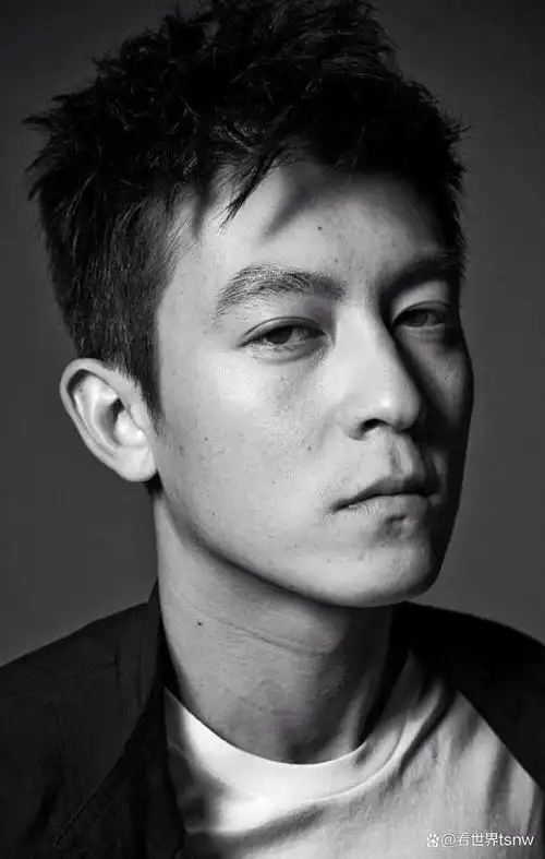 陈冠希:从多元才子到"淫照事件"的重创