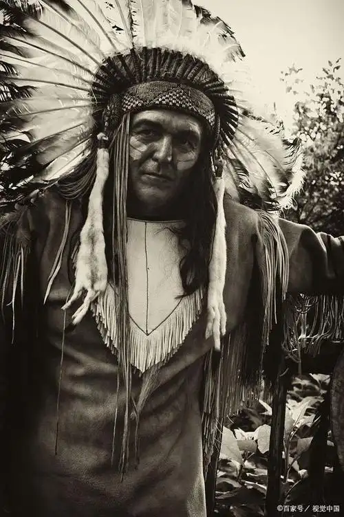 《最后的莫西干人》(the last of the mohicans)是美国作家詹姆斯