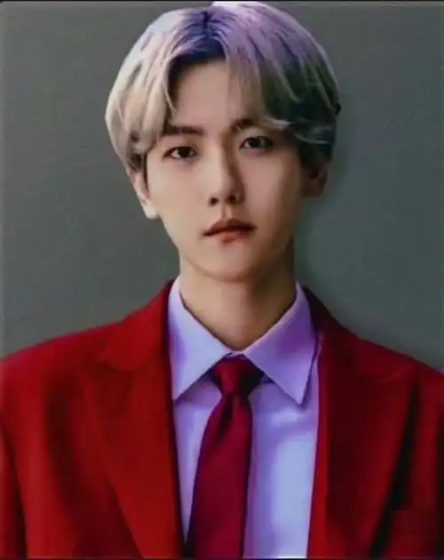 边伯贤#证件照好看的秘诀是脸