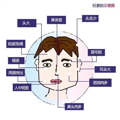 解析:旺妻的男人面相图