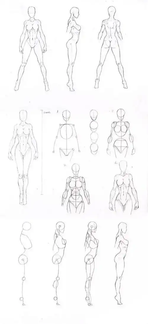 人体线稿参考肢体绘制素材收藏
