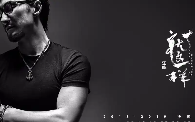 汪峰2018就这样巡回演唱会广州站音乐纯享版录屏