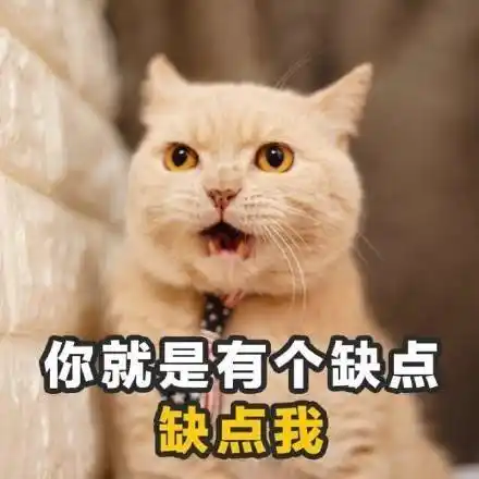 土味情话搞笑文字表情包图片