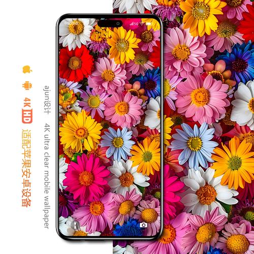 手机壁纸高清4k创意治愈系清新花束七彩花朵唯美桌面锁屏屏保图片