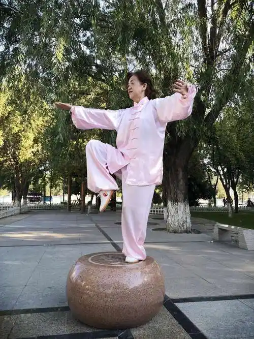 《杨氏40式太极拳》培训班结业 - 美篇