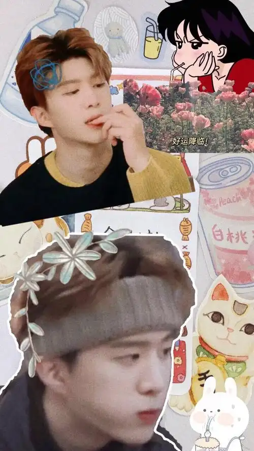 范丞丞拼贴壁纸帮做评论