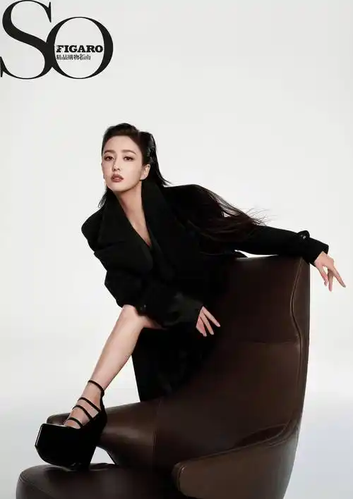 佟丽娅sofigaro封面,皮质抹胸秀傲人身材,撞衫舒淇性感各异_黑色