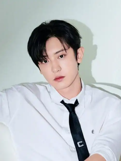 朴灿烈秋日封面大片