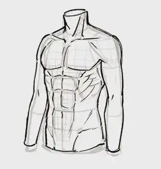 成都水彩之翼教你上半身肌肉的画法教程