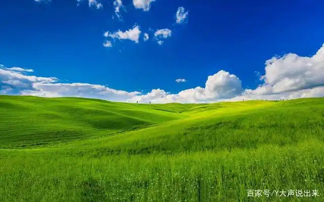 深深地呼吸着大自然绿色的新鲜纯净空气.感觉来到了人间仙境.