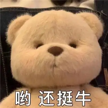 的莉娜熊表情包合辑优选有意思的莉娜熊表情2021_微信表情_有个性网