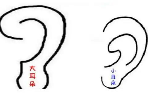 耳朵薄的人命运好不好