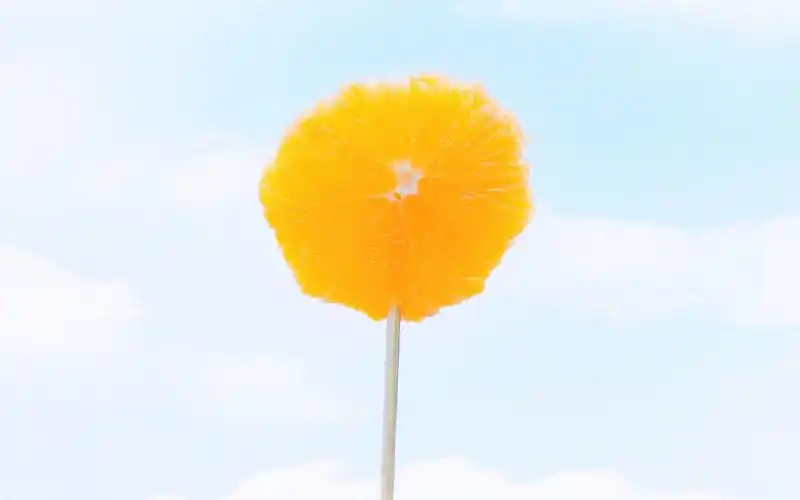 上一张 下一张 简介 夏日物语高清小清新壁纸图片,一组唯美户外摄影