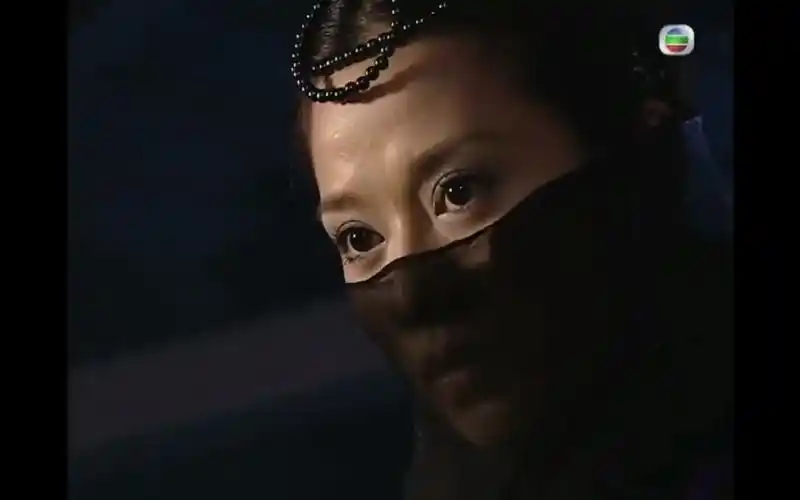 黑色面纱蒙面梦蝶