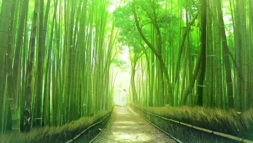 唯美竹林小道动态配乐壁纸