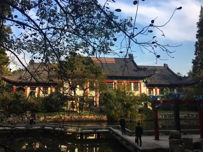 东方醉美校园的南师大,到了秋季,这里的银杏更美