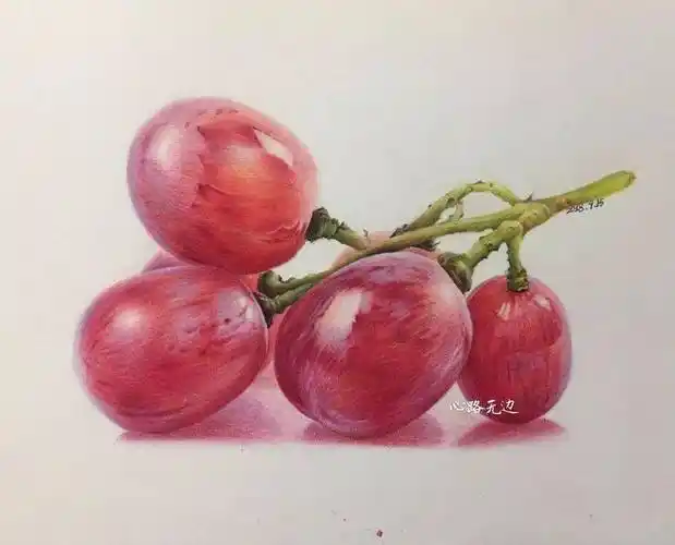 彩铅画入门教程零基础画一串红提步骤图