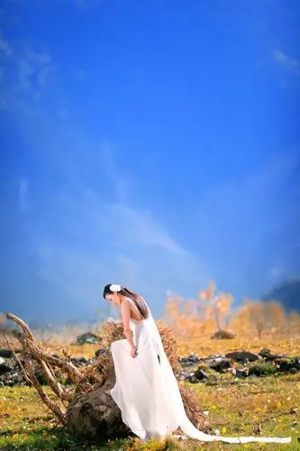 秋天唯美的搜索结果_百度图片搜索