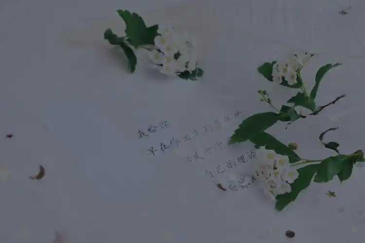 壁纸 电脑壁纸 锁屏壁纸ins 聊天背景 iphone 【禁商用】