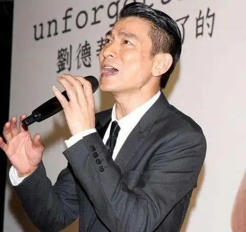 刘德华 在妹妹的印象中,华仔到了后来就一直是大背头了哎.