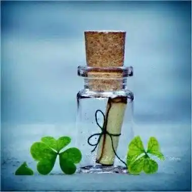 幸运草图片头像最漂亮的四叶草图片