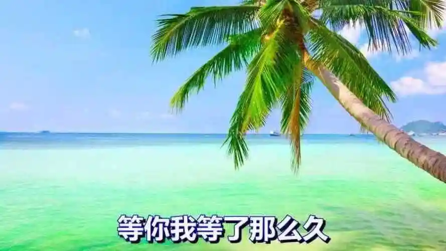 一首伤感情歌《等你等了那么久》