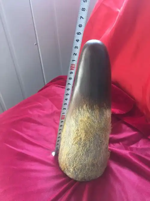 明代苏门答腊犀牛角是不是这样子