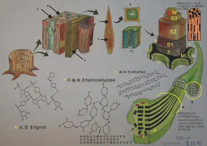 木言木语 – 黑胡桃网路阁