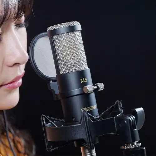 北京m5电容麦克风直播唱歌专用大振话筒网红麦克风