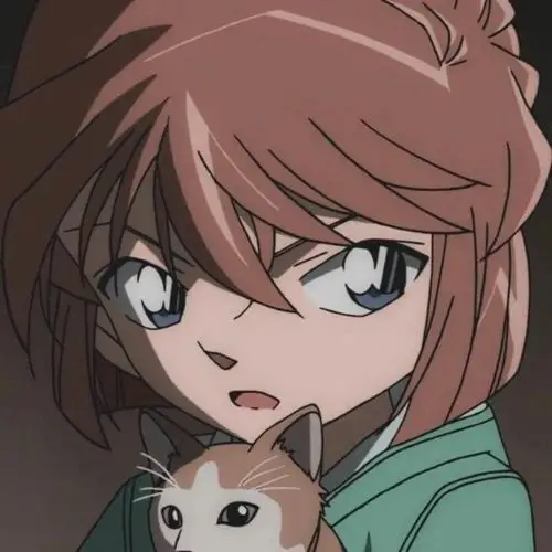 一些名侦探柯南头像