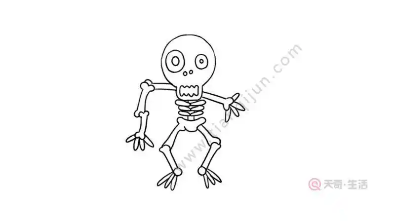 骷髅恐怖简笔画死了的动物骨头简笔画海洋动物骨骼简笔画