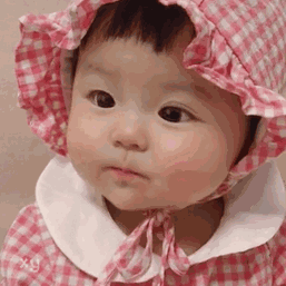 257_257gif 动态图 动图