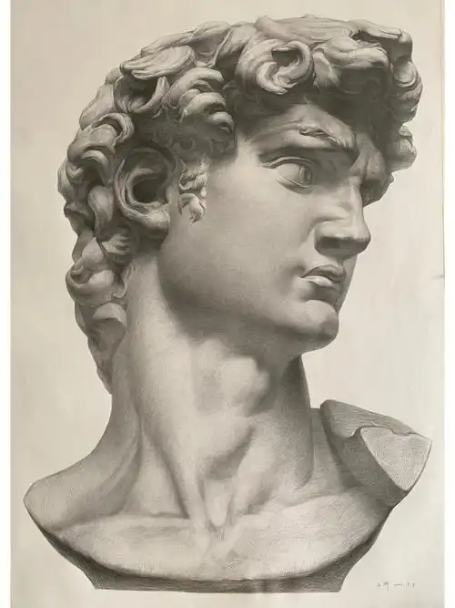 素描  #素描石膏头像  #大卫  #中国第一大卫  #喻红  #艺术