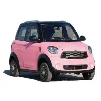 康捷达今日阳光m1新能源四轮电动车成人家用女士油电两用轿车 标配版