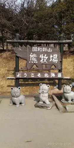 熊牧场里约有100多头纯种北海道棕熊.