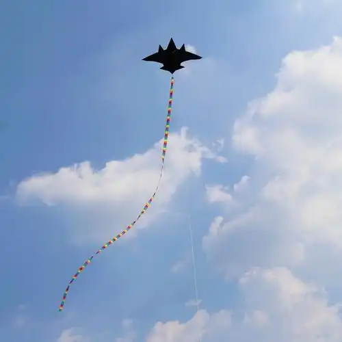 风筝新款飞机战斗机儿童卡通成人大型新手初学者风筝