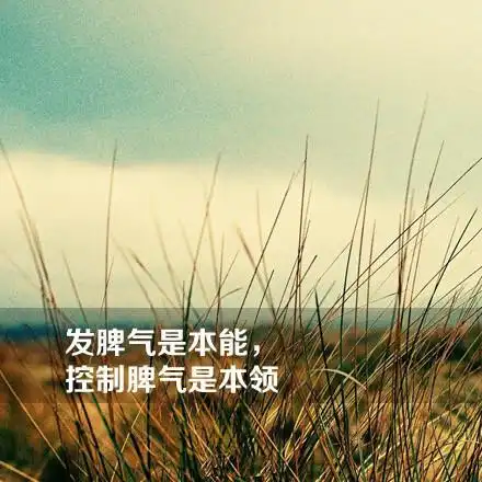 我们要学会控制自己的情绪. - 堆糖,美图壁纸兴趣社区