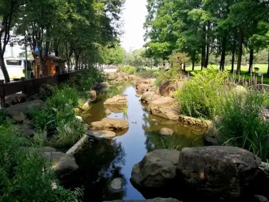 你留意过这些河岸边的梦幻花境吗?快去打卡吧