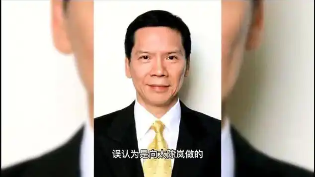 作家陈岚对向太陈岚道歉她曾把江歌妈妈骂哭