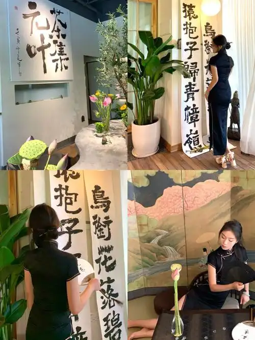 常德探店新中式氛围茶馆体验赵盼儿快乐