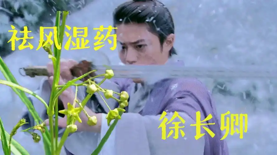 徐长卿不为人知的"双重身份"?千年止痛奇草竟藏侠骨柔情?