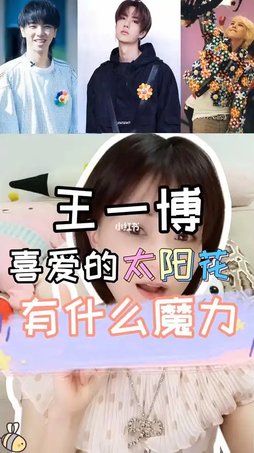 王一博喜爱的太阳花有什么魔力,你知道这太阳花是哪个明星那里,王一博