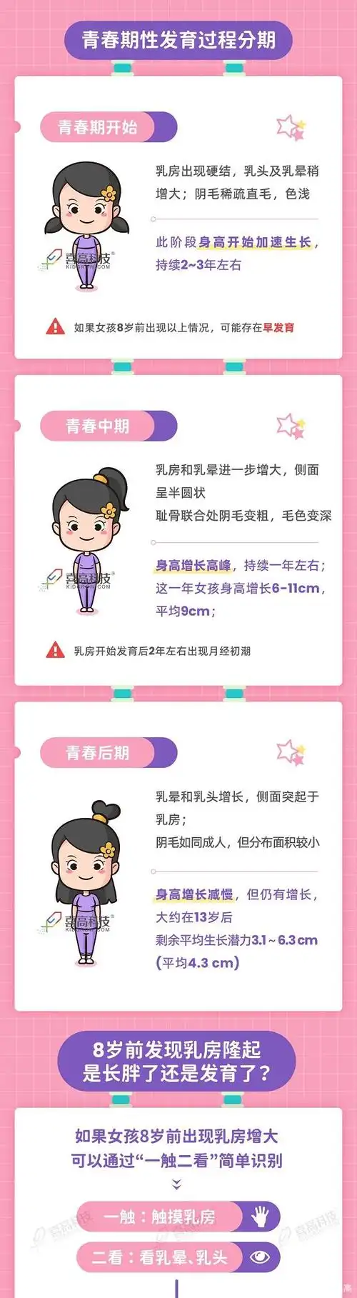 女孩的发育秘密!